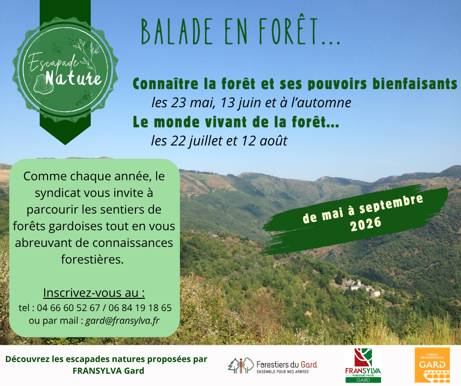 Affiche escapades nature